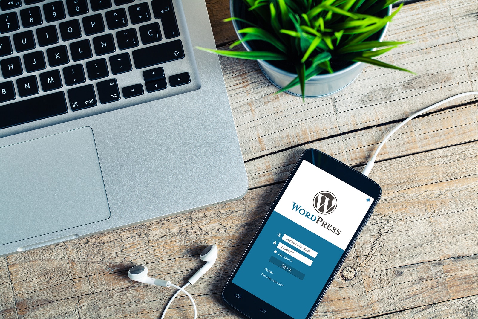 Three WordPress Plugins you should Invest in